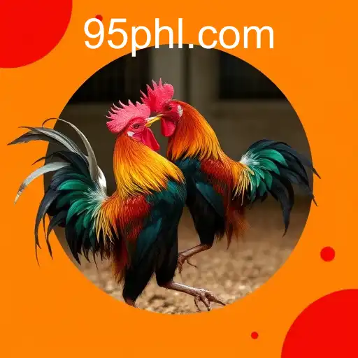 Gaming Experience PH95.COM - 800+ Premium and Exclusive Games